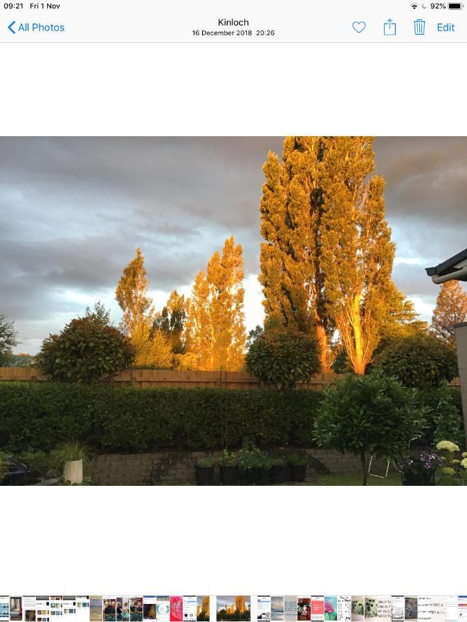 The Gallery Bed & Breakfast Taupo Exterior photo